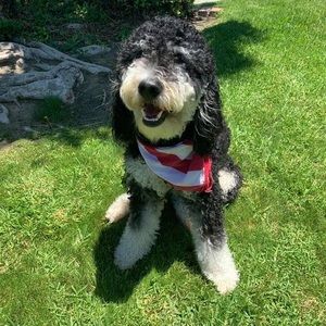 Meet your Posher, Edgar